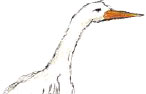 crane